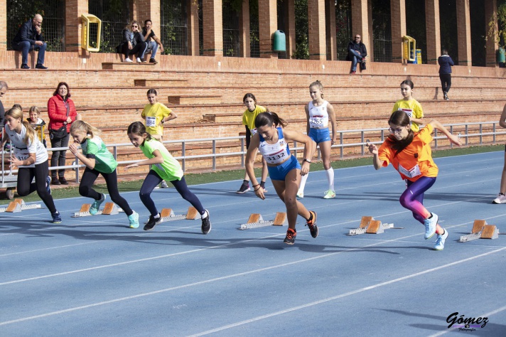 FEDERACIÓN DE ATLETISMO DE LA COMUNIDAD VALENCIANA. La FACV se moderniza