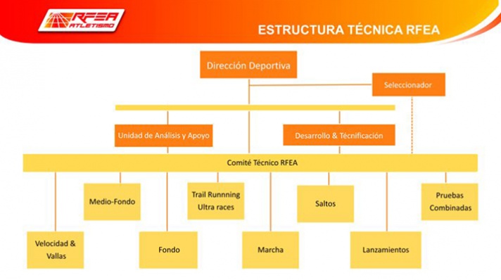 La FACV muy presente en el nuevo Comité Técnico RFEA/La FACV molt present al nou Comité Tècnic RFEA